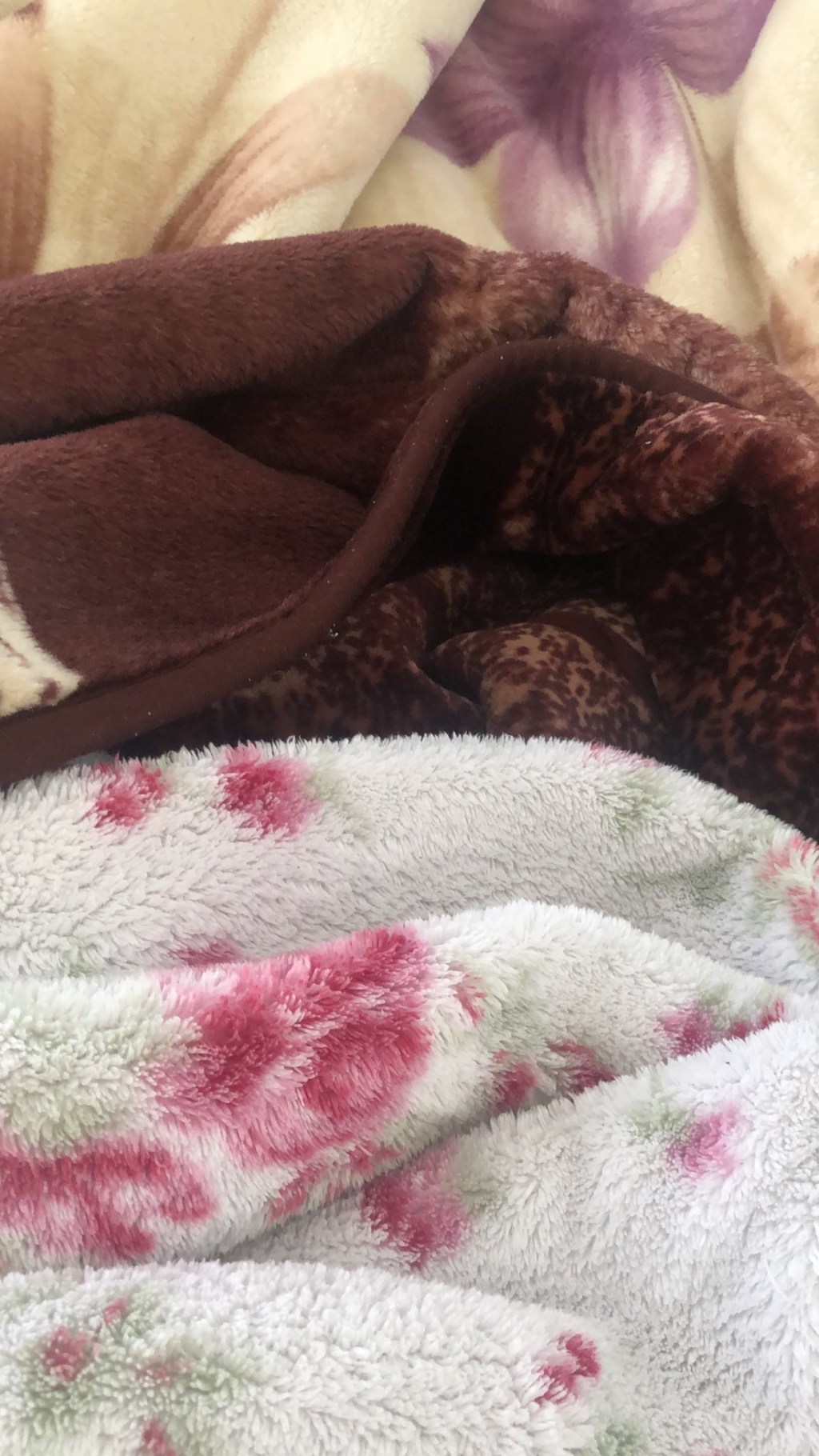 Keeping warm in the&nbsp;winter